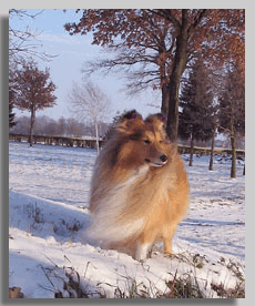 Dezember 2005