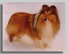 Februar-2004