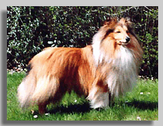 Mai 2004