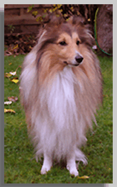 September 2004