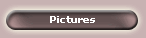 Pictures 