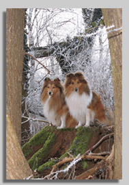 1-Winter-2007
