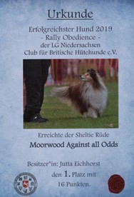 2019-RO-CfBrH - Kopie