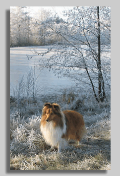 4-winter-2007
