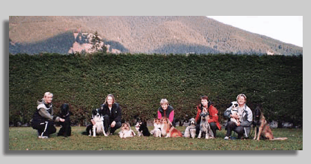 Gruppe-neu
